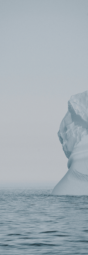 Antarctica & 
 The Arctic