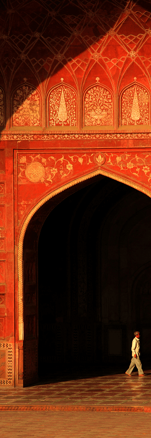 Middle East & North Africa